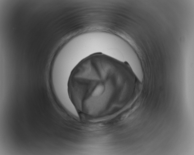 X0000088730438200706282127