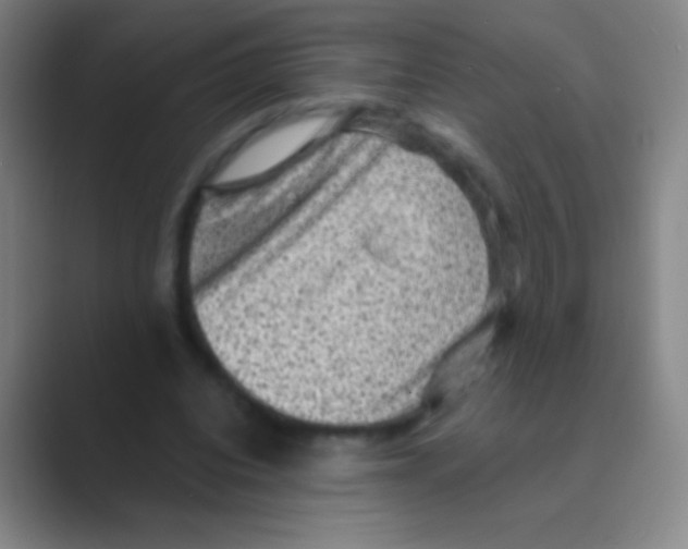 X0000088730440200706282127