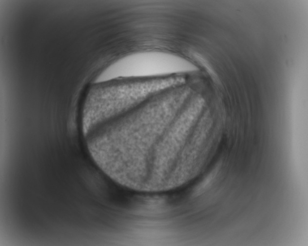 X0000088730443200706282127