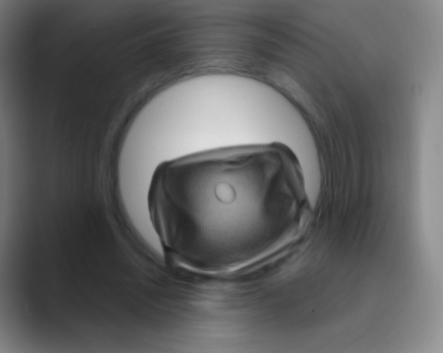 X0000088730444200706282127