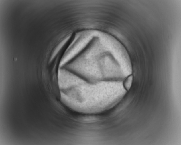 X0000088730445200706282127