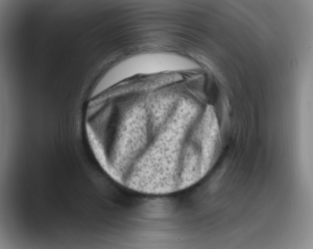 X0000088730446200706282127