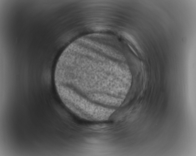 X0000088730447200706282127