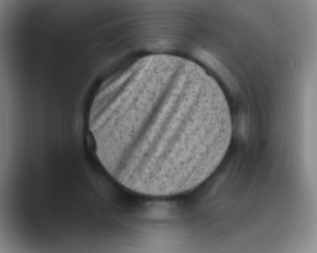 X0000088730448200706282127