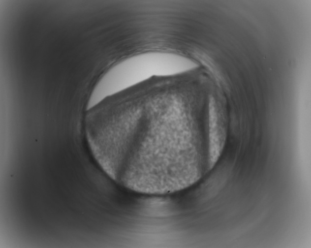 X0000088730449200706282127