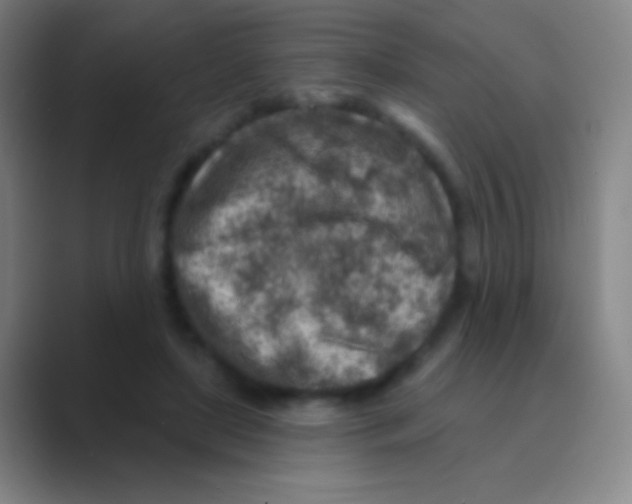 X0000088730451200706282127