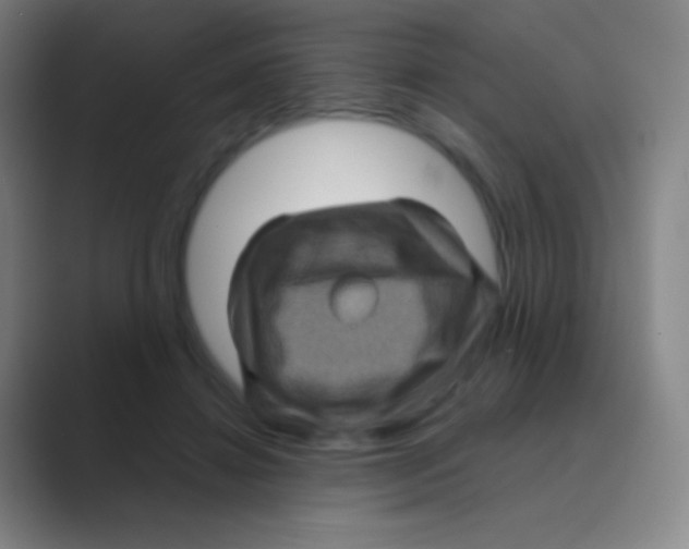 X0000088730452200706282127