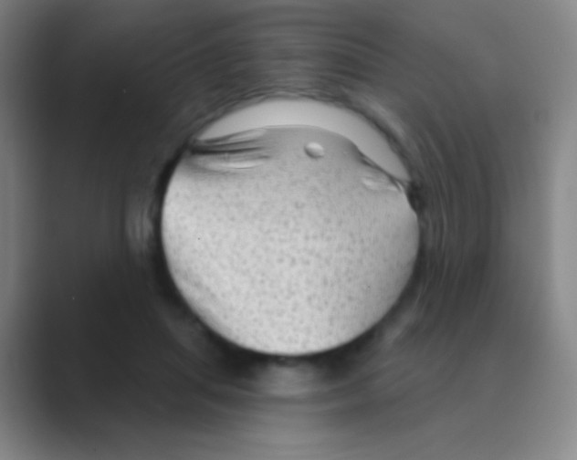 X0000088730455200706282127