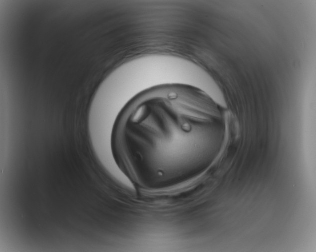 X0000088730456200706282127