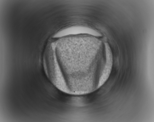 X0000088730457200706282127