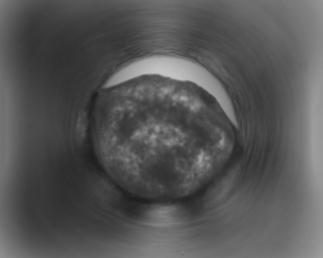 X0000088730458200706282127