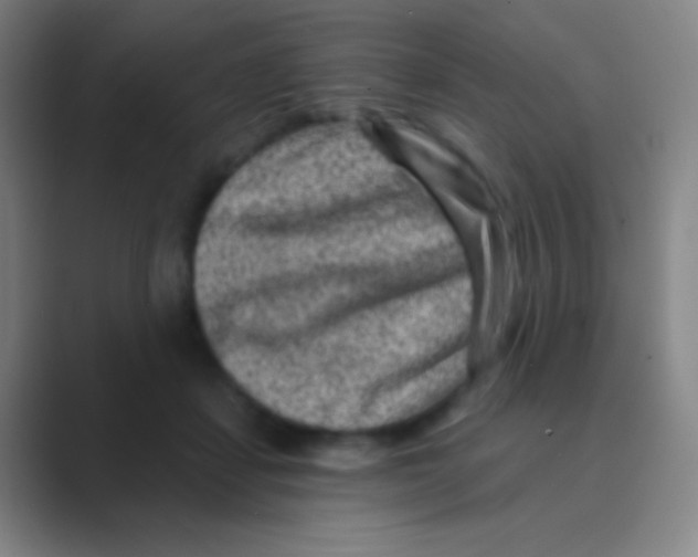 X0000088730459200706282127