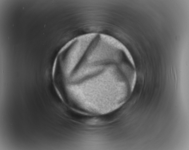 X0000088730460200706282127