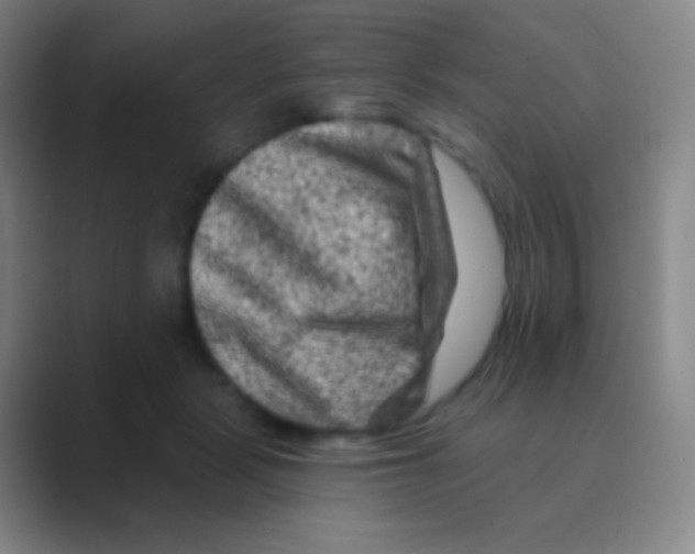 X0000088730461200706282127