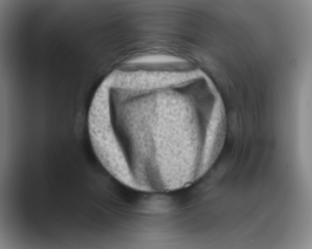 X0000088730463200706282127