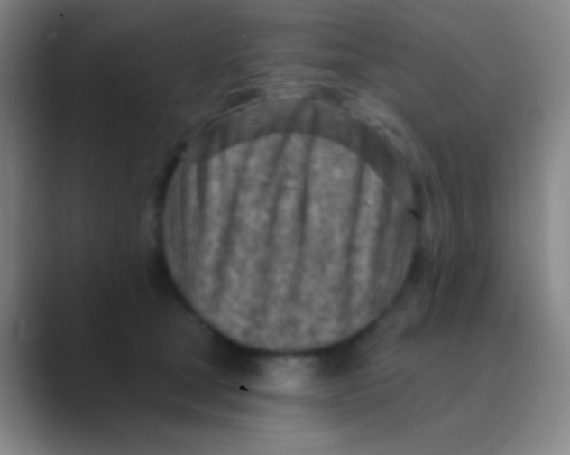 X0000088730465200706282127