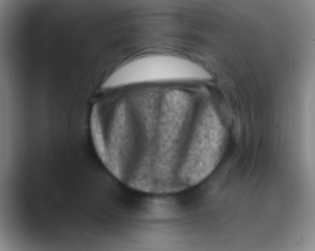 X0000088730466200706282127