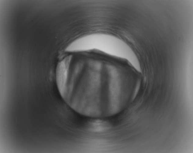 X0000088730467200706282127