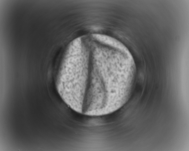 X0000088730468200706282127