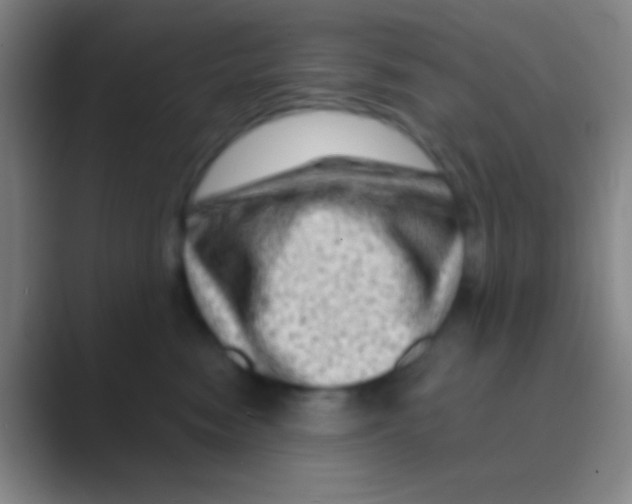 X0000088730474200706282127