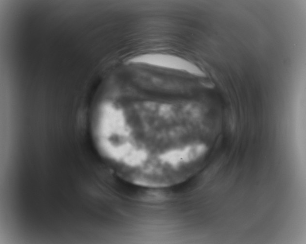 X0000088730475200706282127