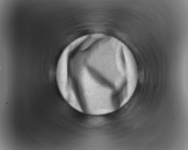 X0000088730476200706282127