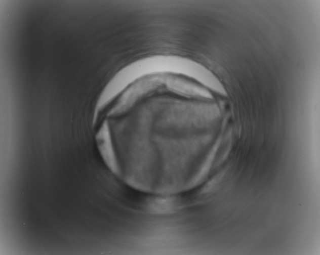 X0000088730479200706282127