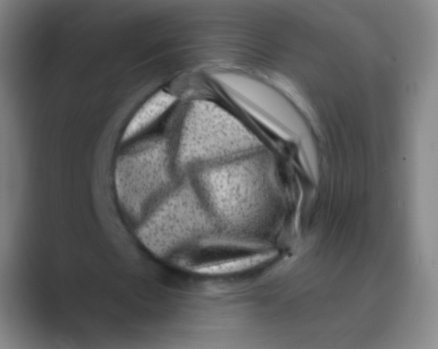 X0000088730481200706282127