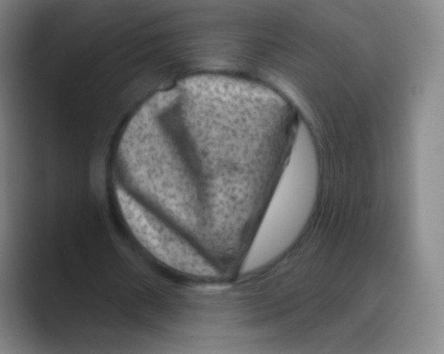 X0000088730482200706282127