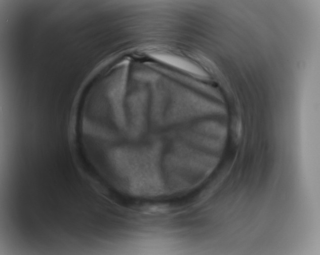 X0000088730484200706282127