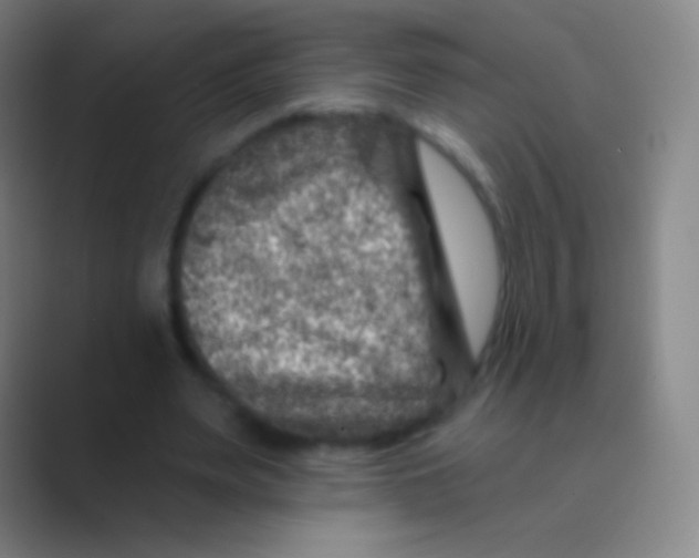 X0000088730487200706282127