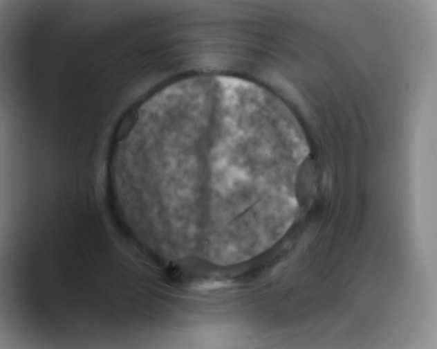 X0000088730488200706282127