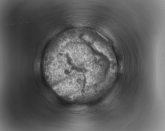 X0000088730491200706282127