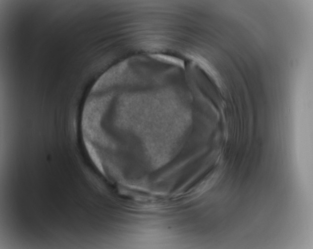 X0000088730493200706282127