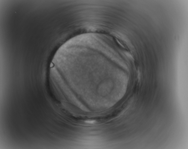 X0000088730496200706282127