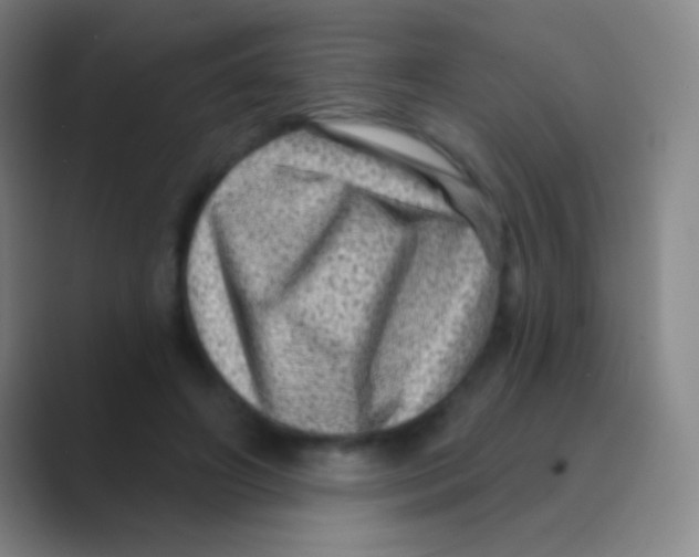 X0000088730498200706282127