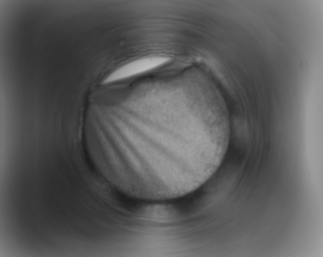 X0000088730499200706282127