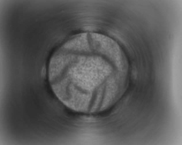 X0000088730502200706282127