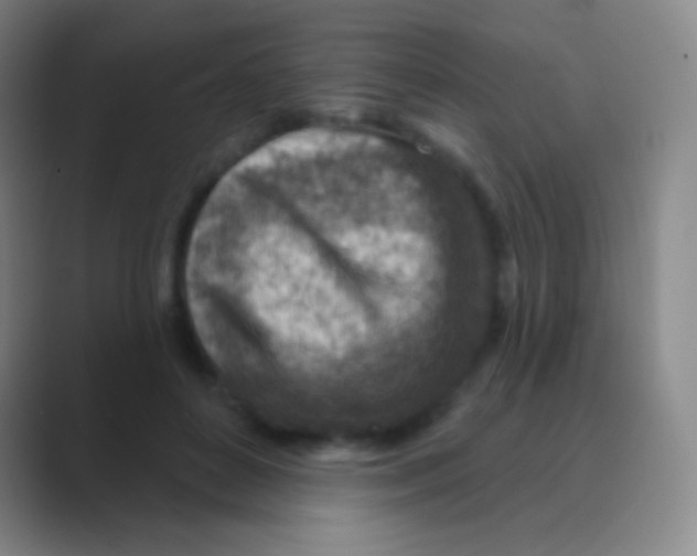 X0000088730504200706282127