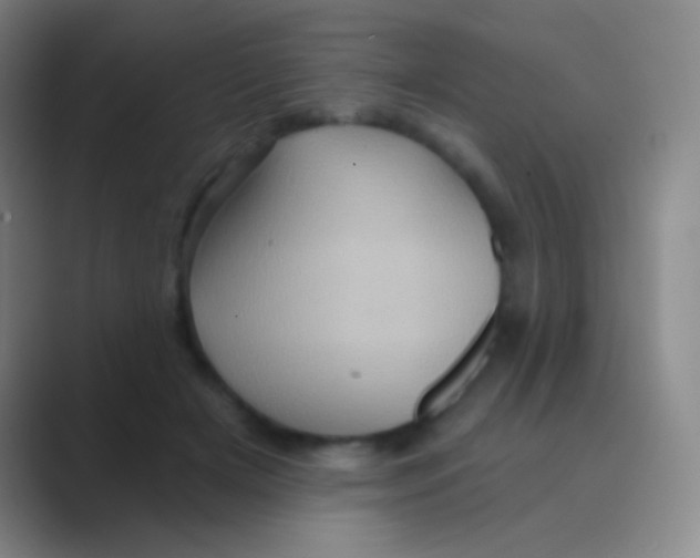 X0000088730505200706282127