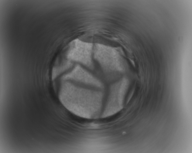 X0000088730506200706282127