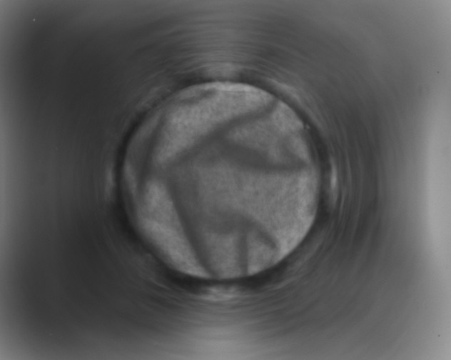 X0000088730508200706282126