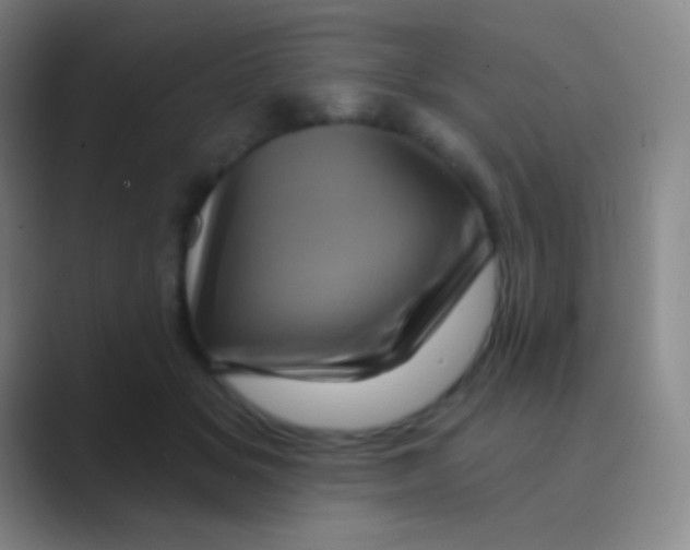 X0000088730509200706282126