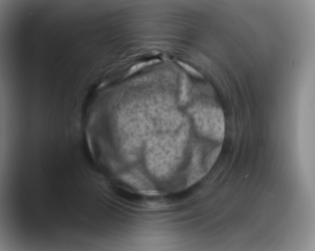 X0000088730510200706282126