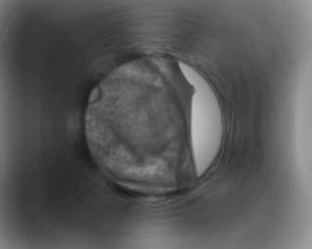 X0000088730511200706282126