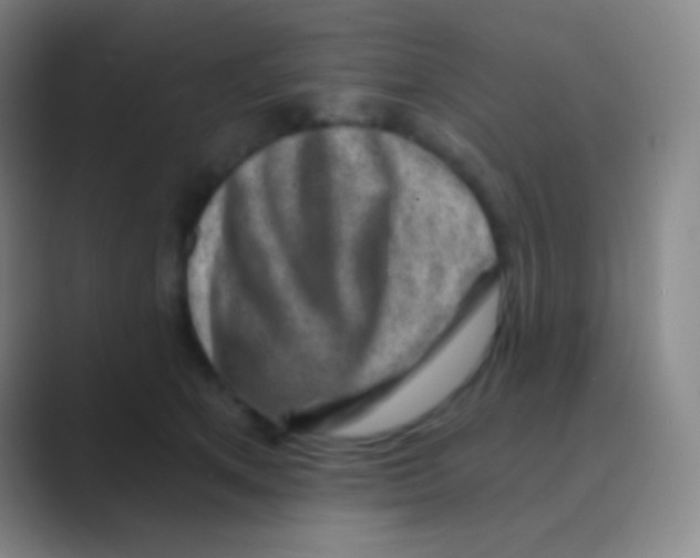 X0000088730513200706282126