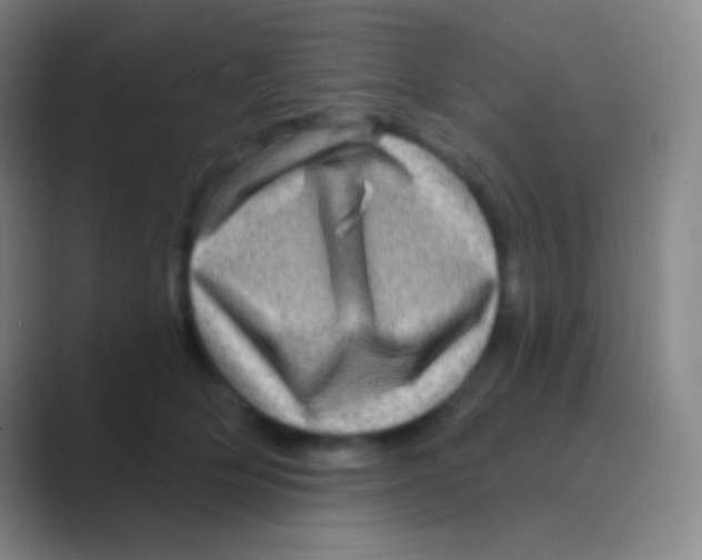 X0000088730514200706282126