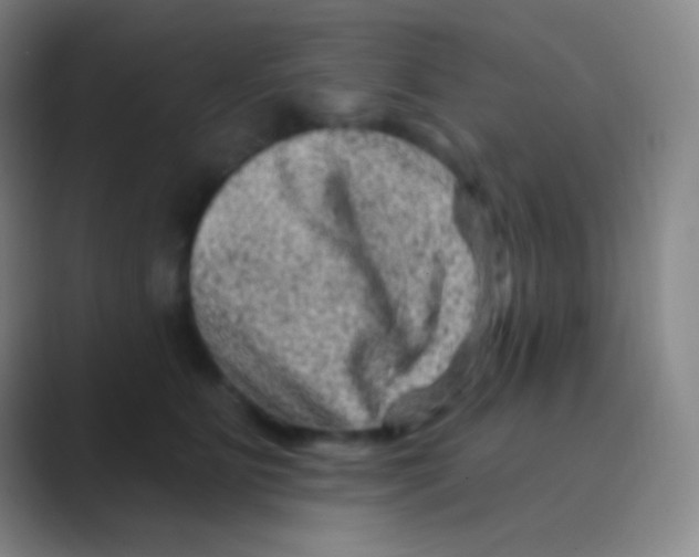 X0000088730515200706282126