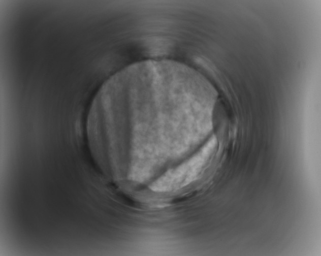 X0000088730516200706282126