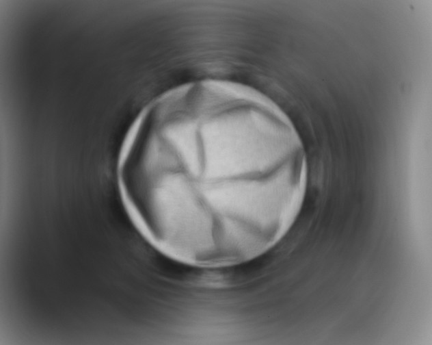 X0000088730518200706282126